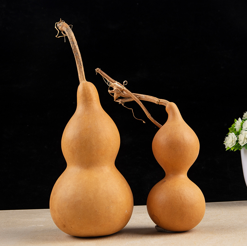 Longevity Health & Wellness Hotel Adults Only - Adornos artesanales de calabaza natural, nudo