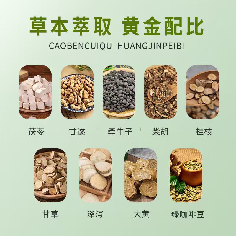 20 pastas de moxibustión para  - Health & Wellness For You reseña y precio