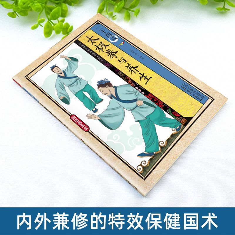 24 Estilos de Tai Chi y Ejerci - Health & Wellness For You reseña y precio