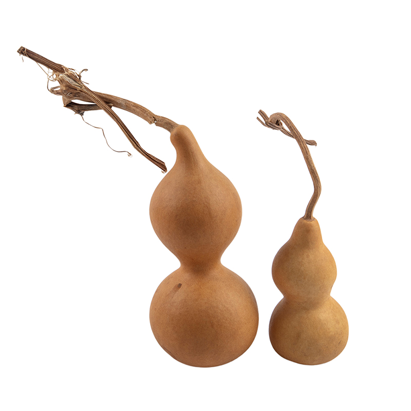 Adornos artesanales de calabaz - Longevity Health & Wellness Hotel Adults Only reseña y precio