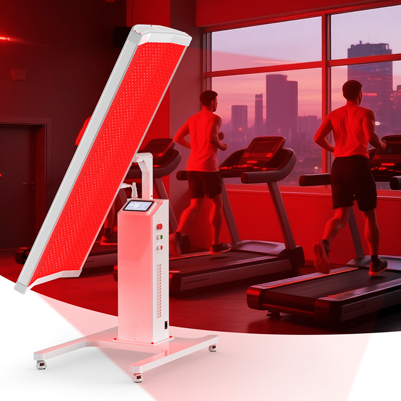 Suyzeko OEM Longevidad Cuidado - Longevity Health & Wellness Hotel Adults Only reseña y precio