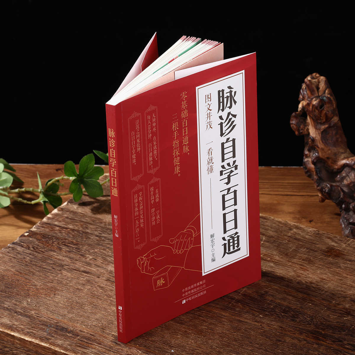 Libro de autoestudio sobre dia - Health & Wellness For You reseña y precio