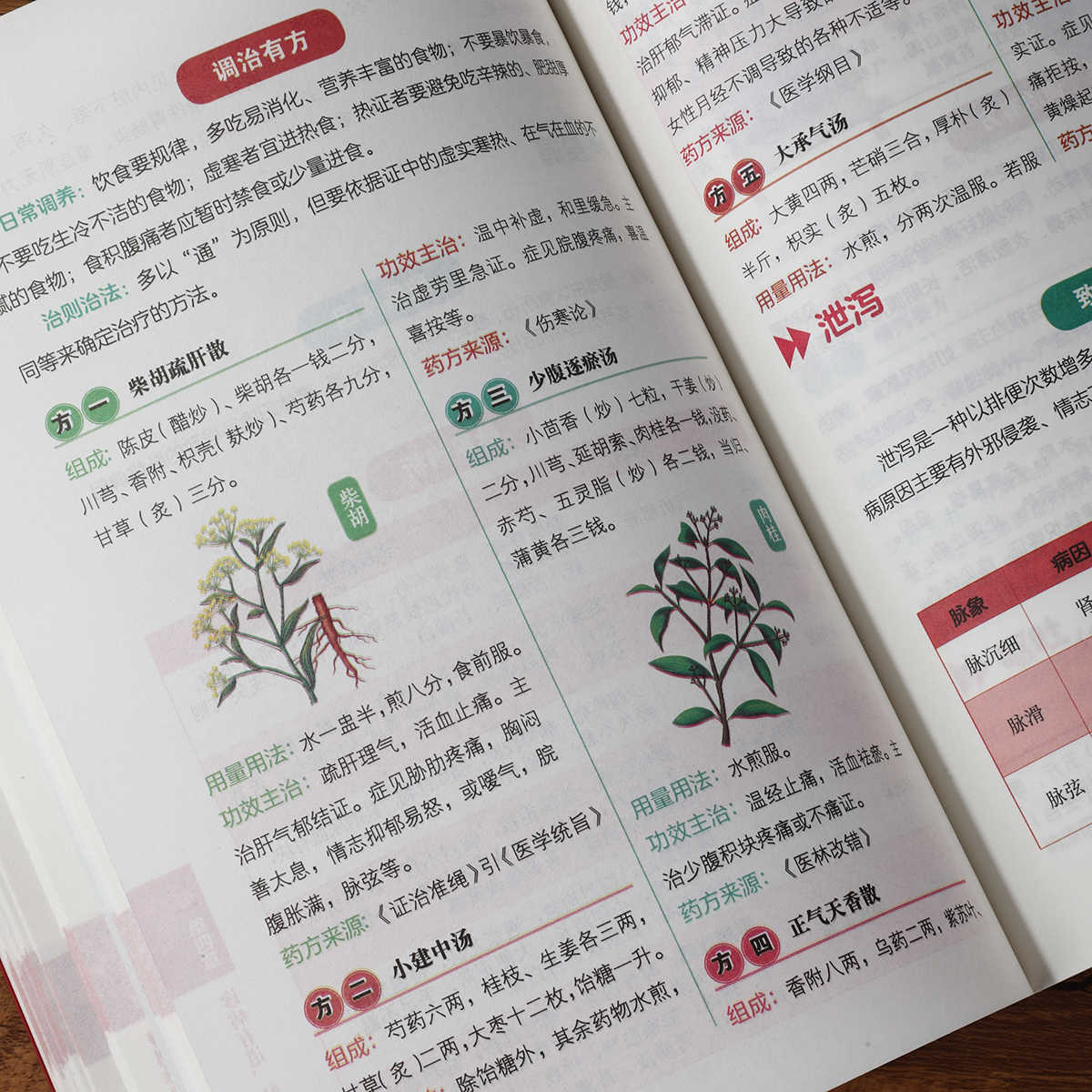 Libro de autoestudio sobre dia - Health & Wellness For You reseña y precio